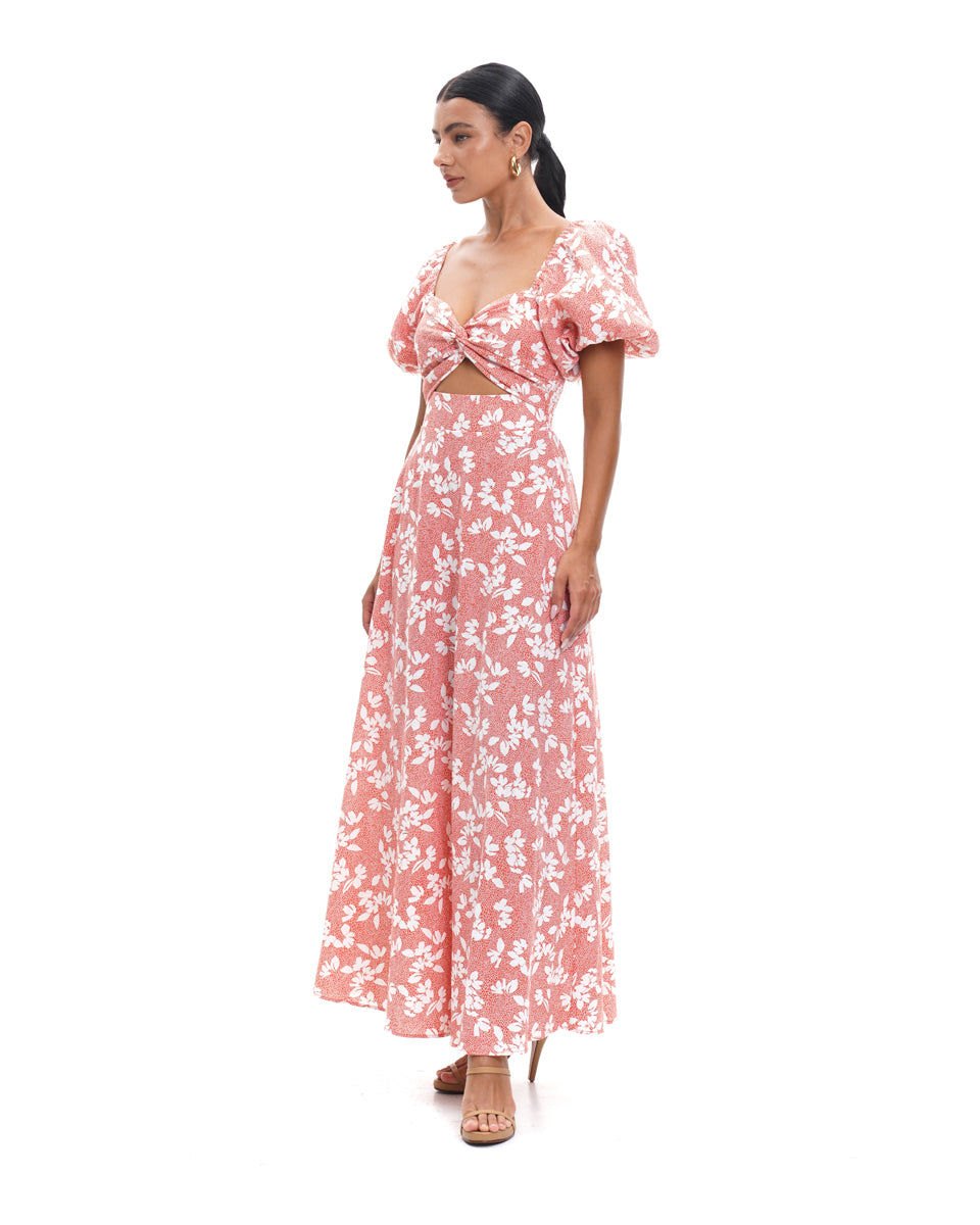 Aisha Dress