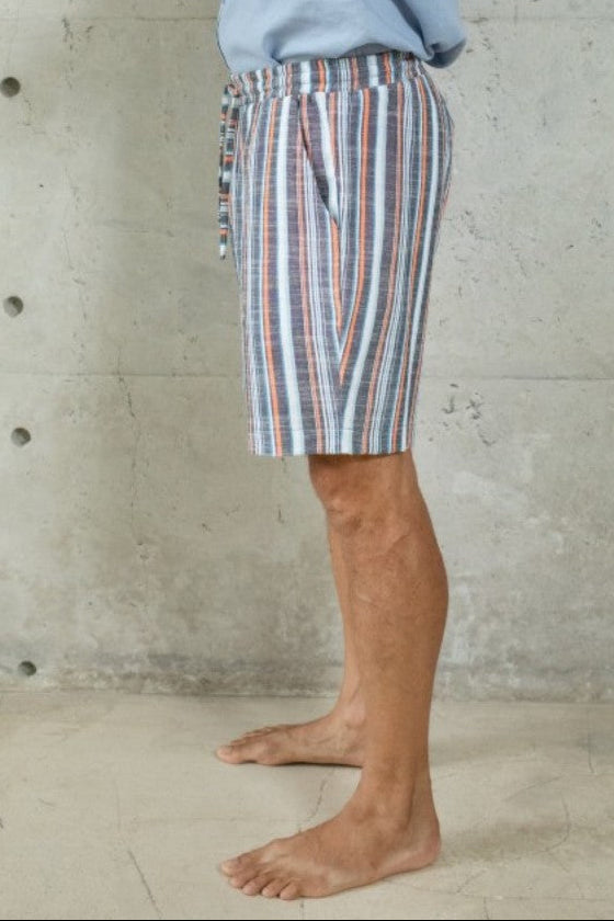 Levi Shorts