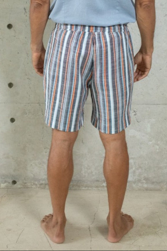 Levi Shorts