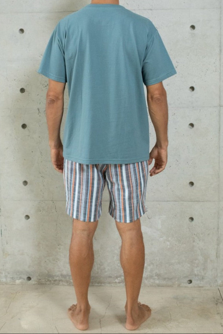 Levi Shorts